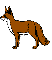 VIE ET SURVIE EN FOR�T