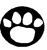 VIE ET SURVIE EN FOR�T